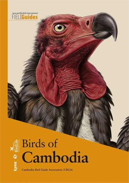 Field guide of Asia