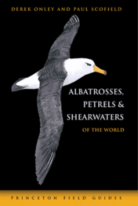 albatrosses-shearwaters-petrels