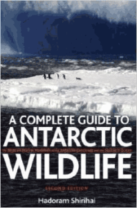 antarctic wildlife