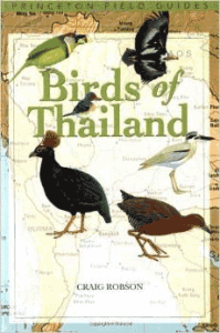 birds of thailand