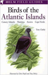 birds of the atlantic islands