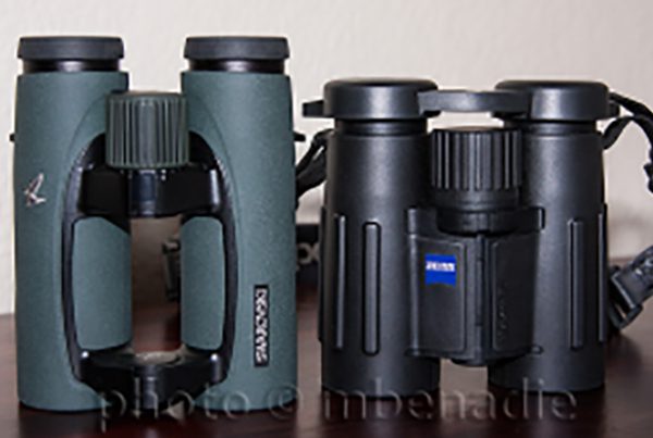 Best binoculars for birding