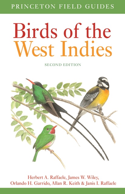 Best field guides of the Neotropics