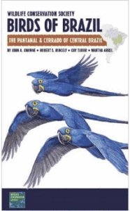 birds brazil