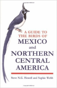birds of mexico