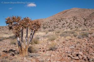 The Northern Cape, South Africa