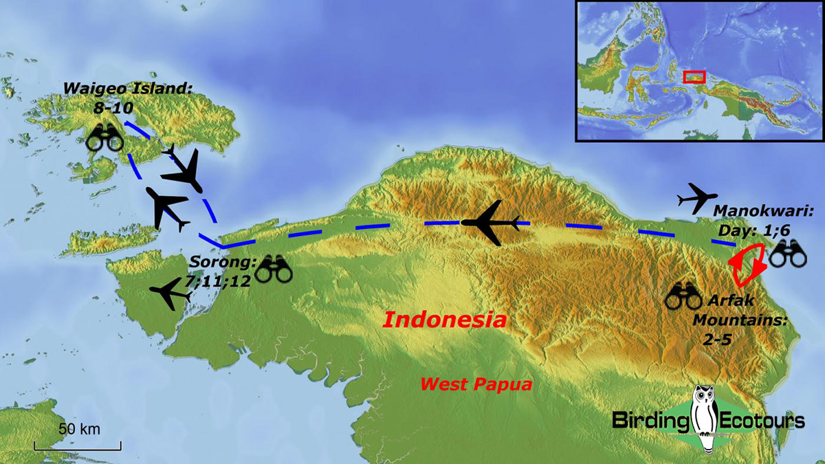 Map of birding tour in Indonesia: West Papua – Birds-of-paradise & Endemics of the Arfaks & Waigeo August 2023