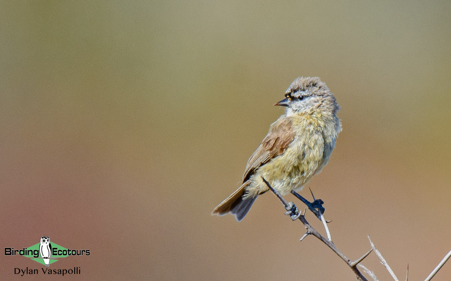 South African photographic tour