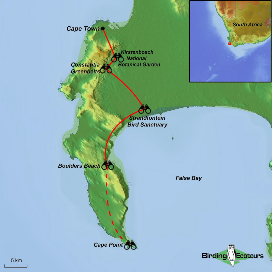 Map of birding tour in 1-day Cape Peninsula Birding Tour