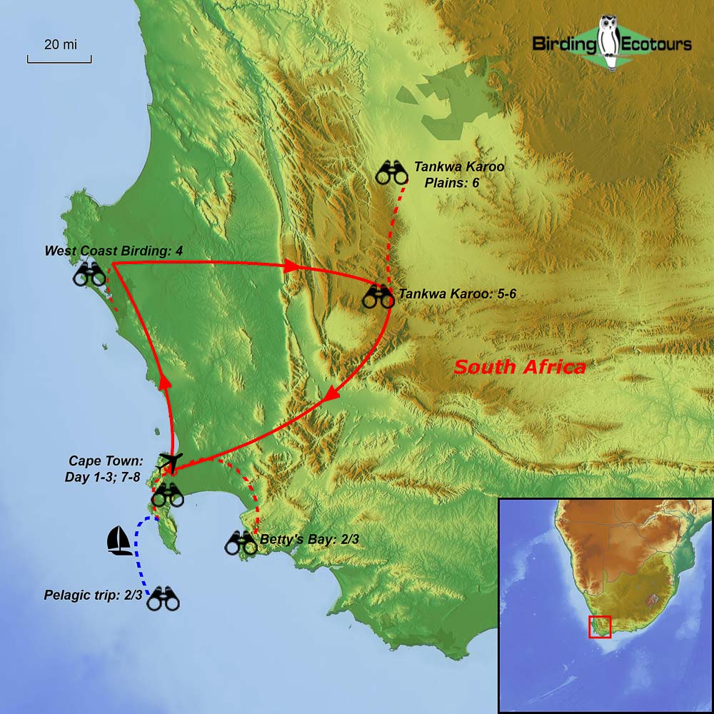 Map of birding tour in South Africa: Best of Cape Town & Beyond October 2024 / 2025