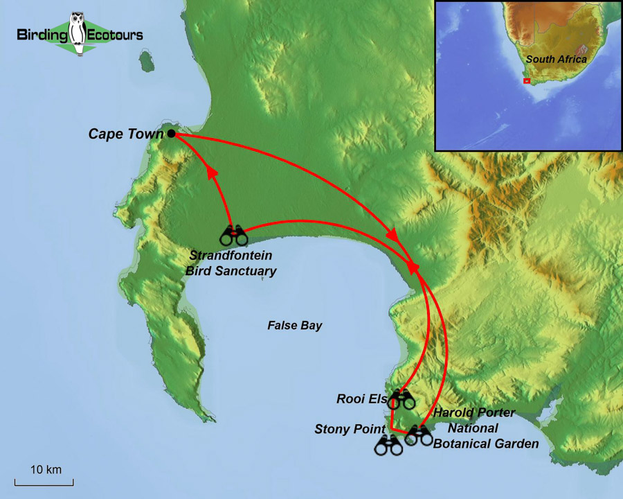 Map of birding tour in 1-day Cape Mountains and Fynbos Birding Tour