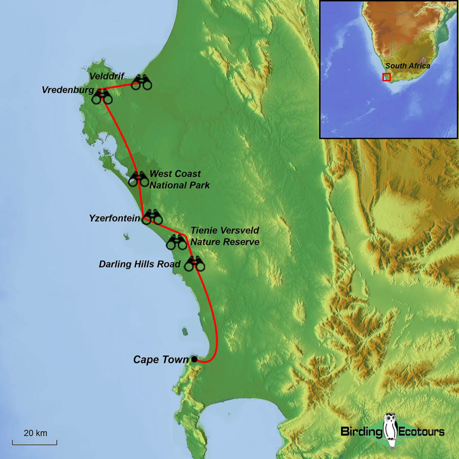 Map of birding tour in 1-day West Coast Birding Tour