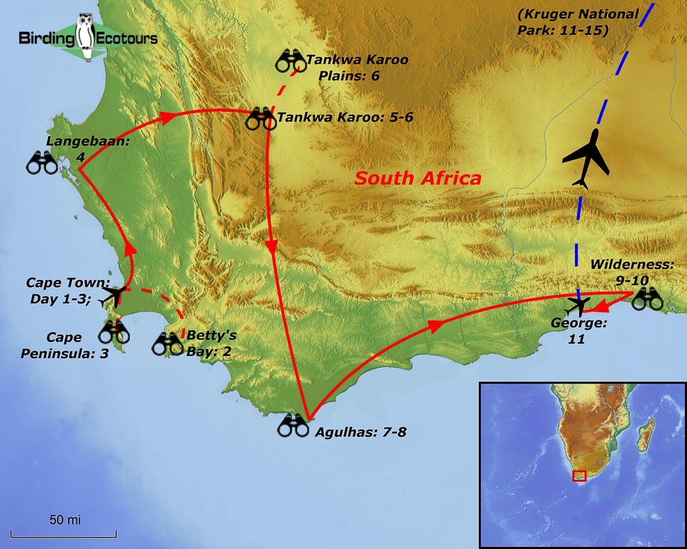 Map of birding tour in South Africa Birding and Photo Tour – Western Cape to Kruger National Park October 2023