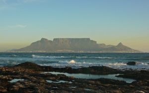 Cape Birding tours