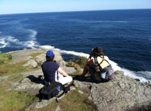 Scanning from the White Head overlook for seabirds, waterfowl, and whales Photo by Bob Schutsky