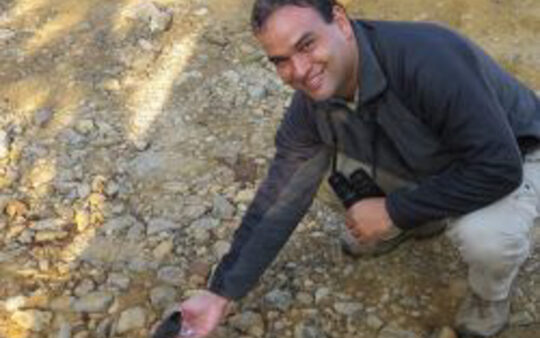 Eduardo Ormaeche - Birding Ecotours