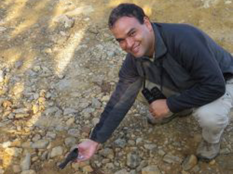 Eduardo Ormaeche - Birding Ecotours