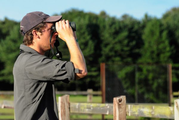 Dylan Vasapolli - Birding Ecotours