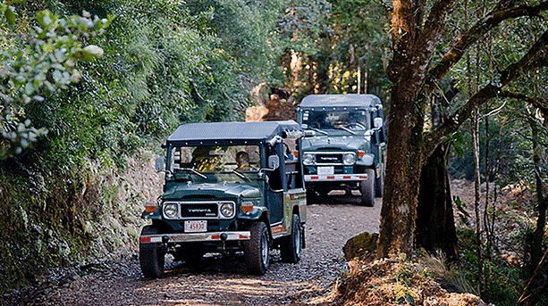 Costa Rica tour information