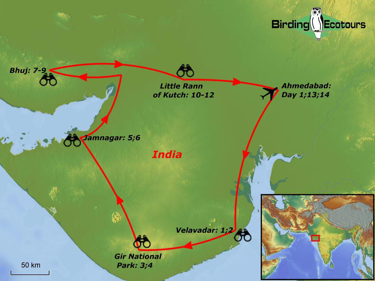 Map of birding tour in India: The Northwest – Lions & Desert Birding in Gujarat February 2024/2025