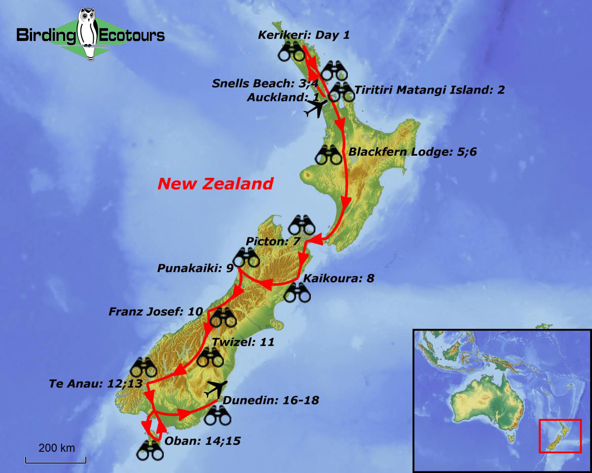 Map of birding tour in New Zealand: Birding Extravaganza November-December 2024/2025