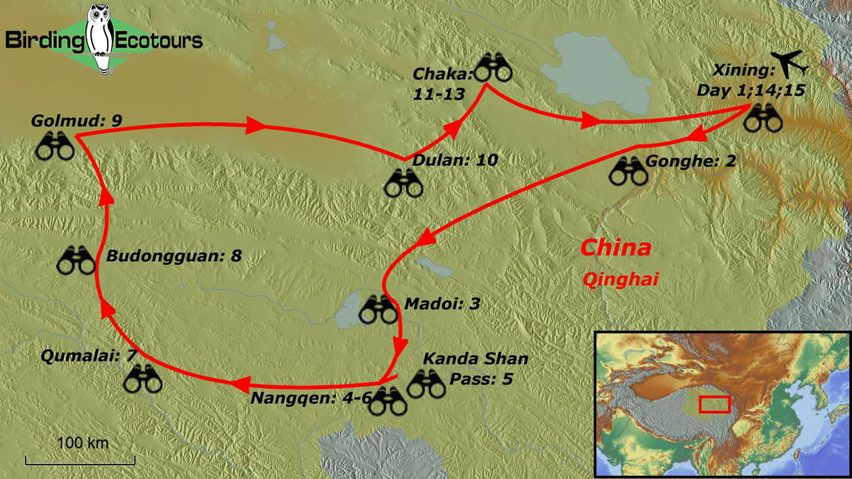 Map of birding tour in China: Qinghai Tour June 2024/2025/2026
