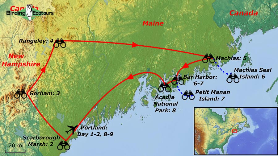 Map of birding tour in USA: Maine – From Mountain Forests to Sparkling Shores June 2025