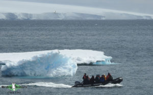 Antarctica birding tours