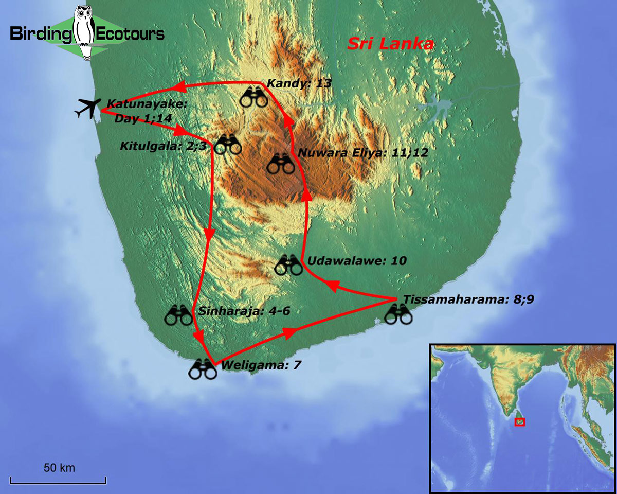 Map of birding tour in Sri Lanka: Island Endemics, Wintering Specialties & Blue Whale Pelagic January 2024