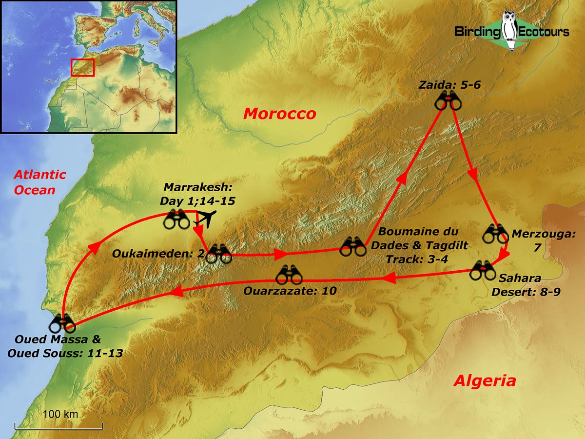 Map of birding tour in Morocco: Best of Northwest Africa March 2024