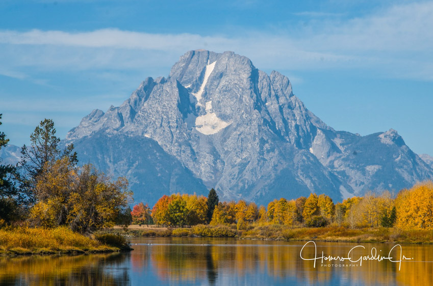 Wyoming birding tours