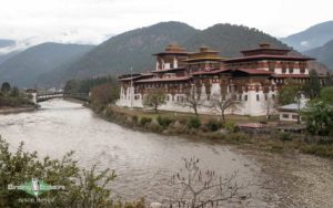 Himalayas birding tours