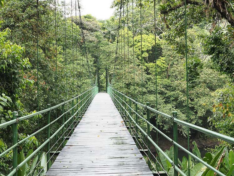 Costa Rica tour information