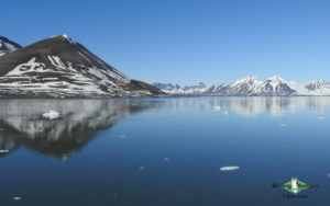 Svalbard birding cruises