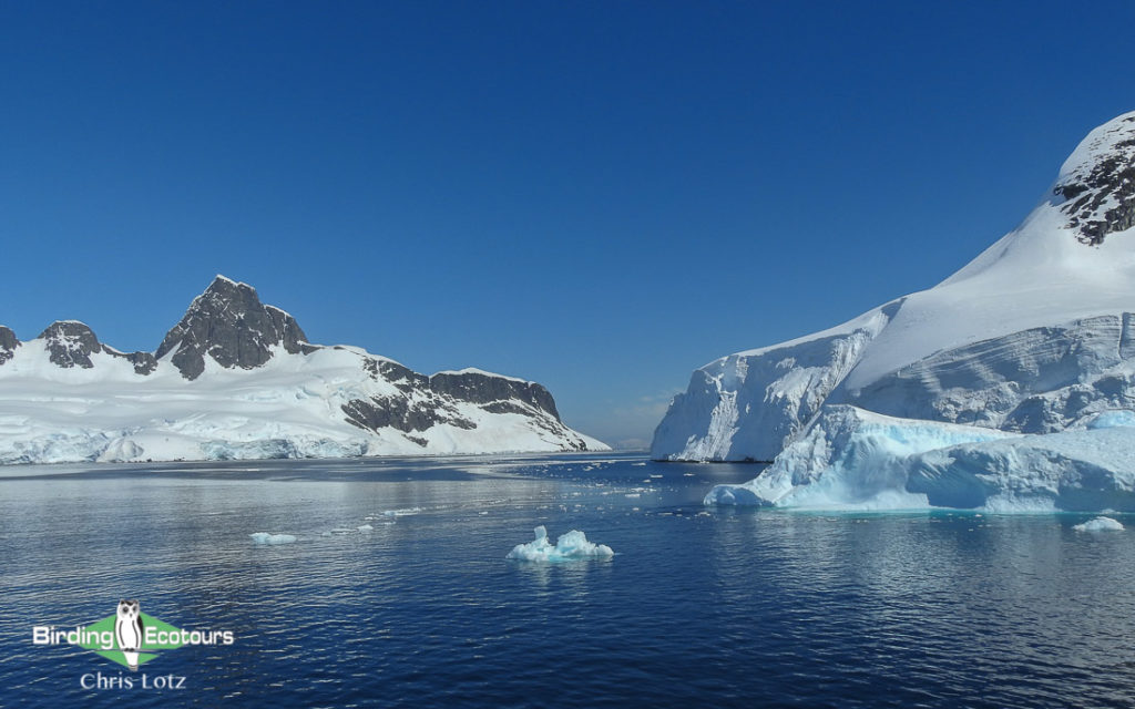 Antarctica trip report
