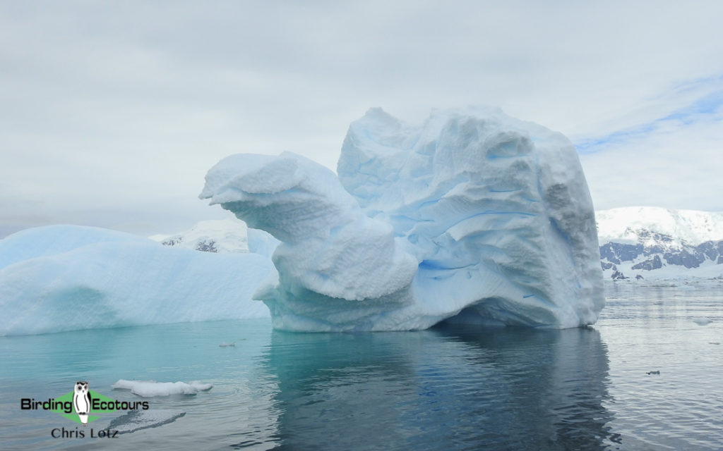 Antarctica trip report