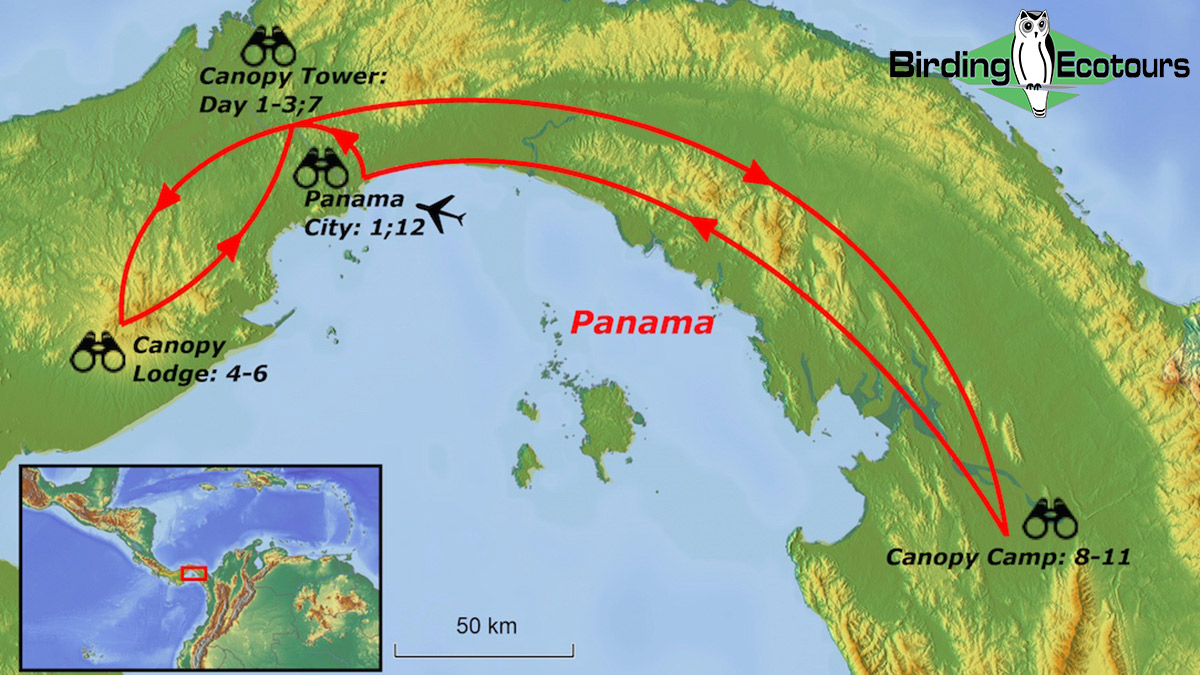 Map of birding tour in The Best of Panama: Canopy Tower & the Darién February 2025