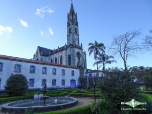 Cerrado endemics, Brazilian Merganser and Maned Wolf birding tours