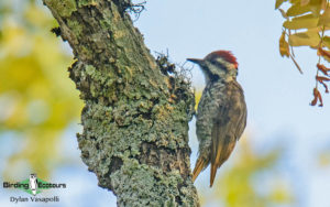 Malawi trip report