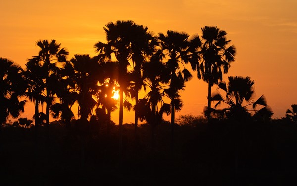 Malawi trip report