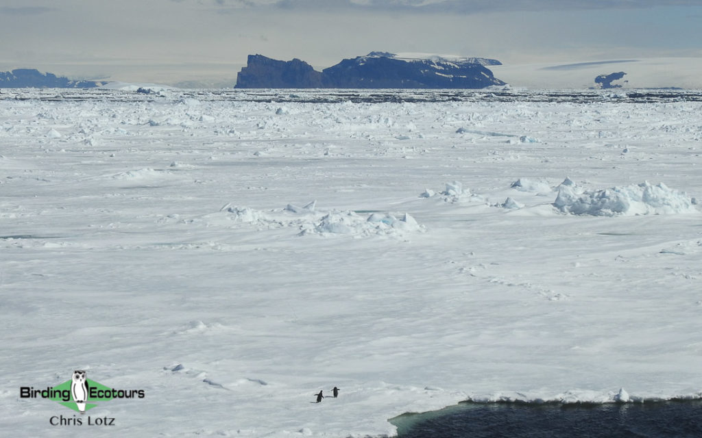 Antarctica trip report