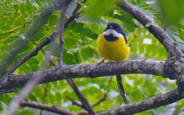 Malawi trip report