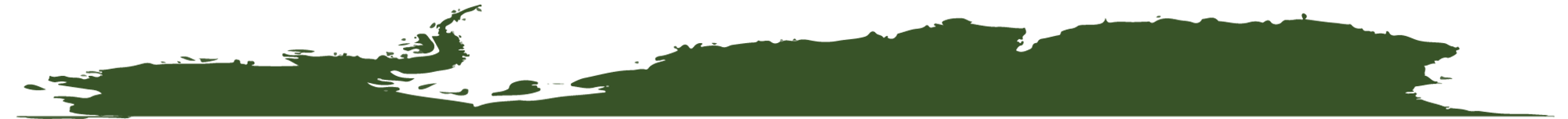 Birding Tours in Antarctica