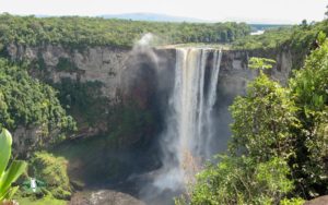 Guyana birding tours