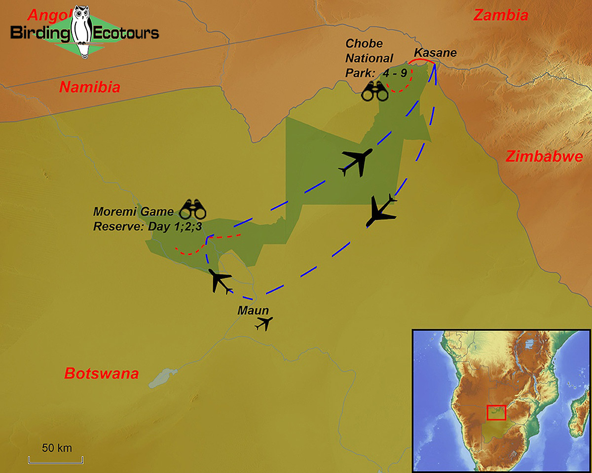 Map of birding tour in Northern Botswana Birding Safari