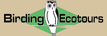 Birding Ecotours