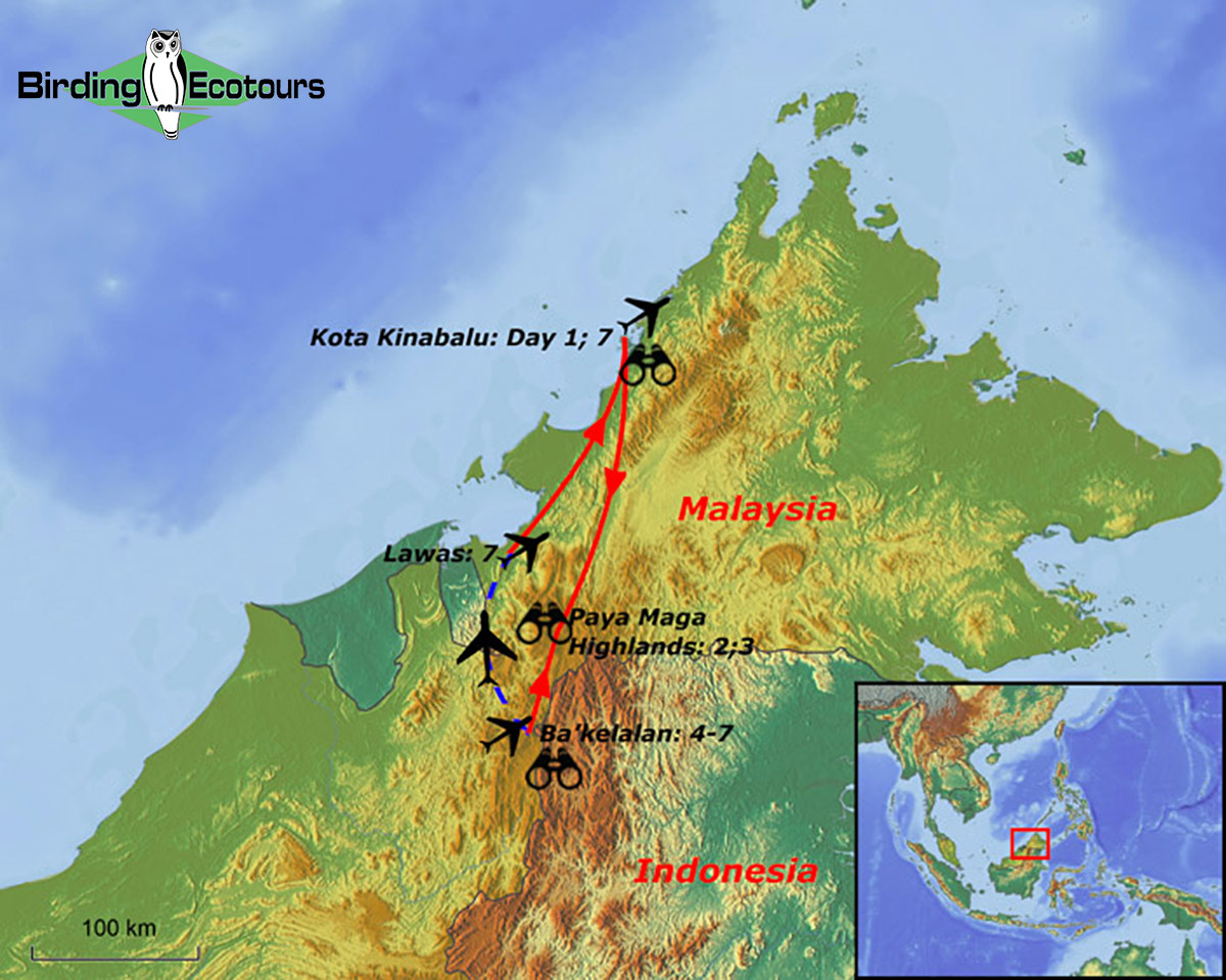 Map of birding tour in Borneo: Sarawak – Restricted Range Endemics July 2024