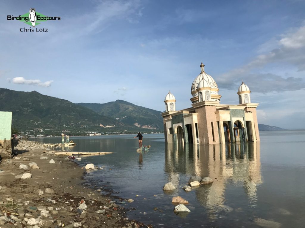 Image of Mosque in Indonesia after Earthquake