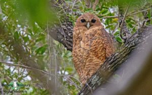 Namibia and Botswana photography tour