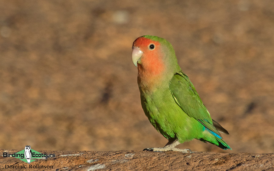 Namibia and Botswana photography tour